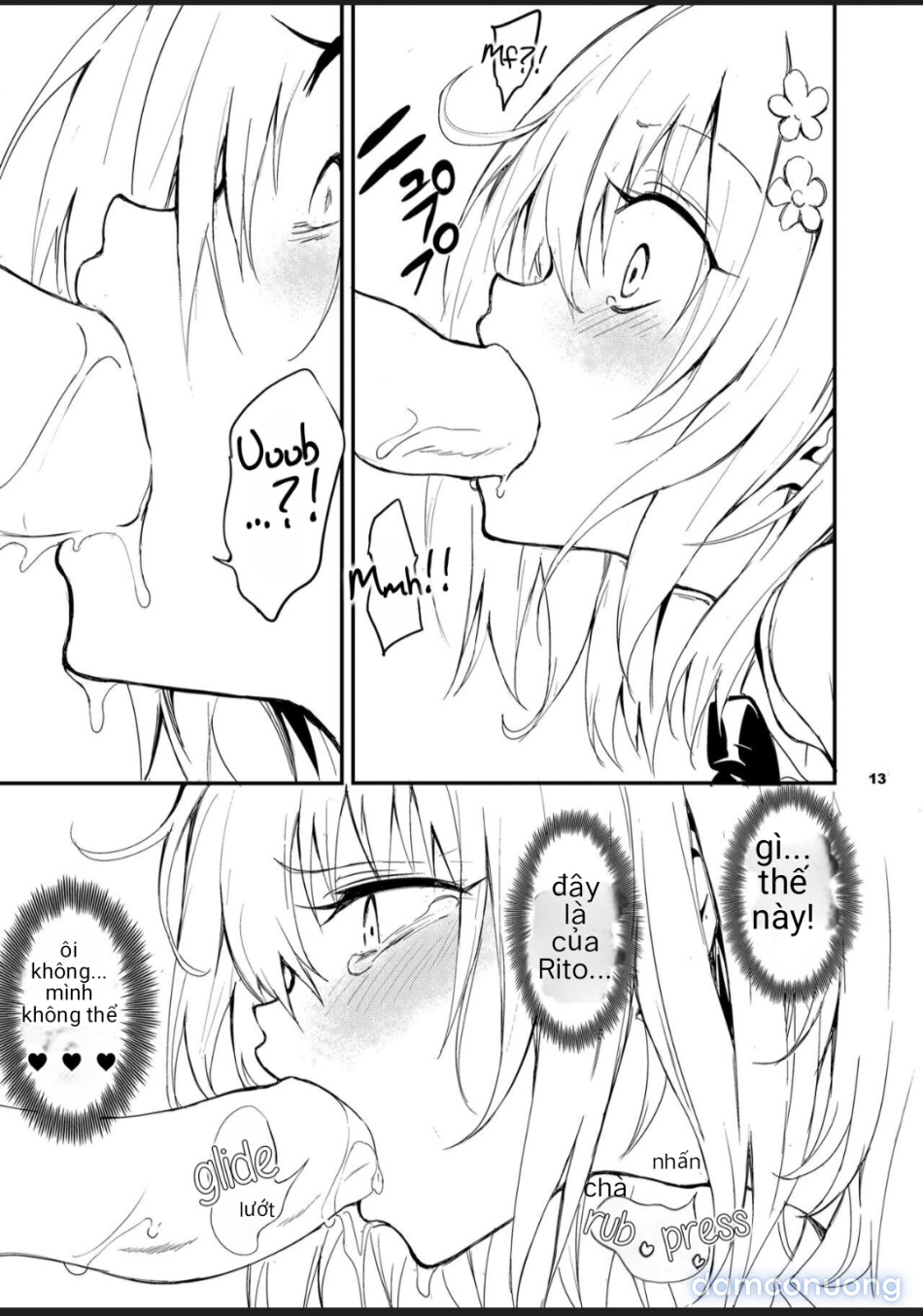 My harem plan 