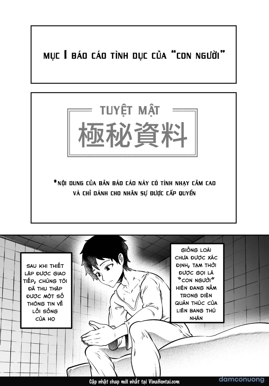 báo cáo mật 