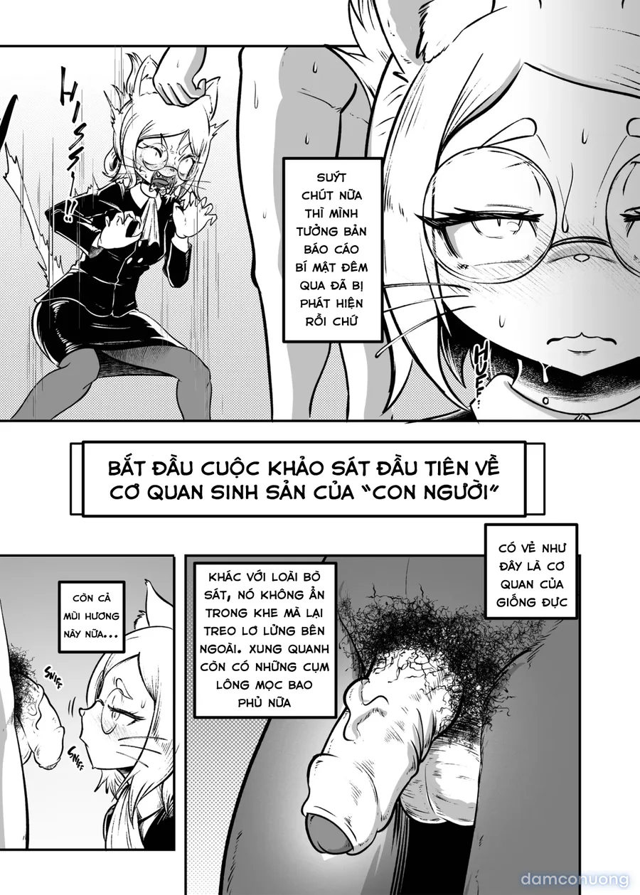 báo cáo mật 