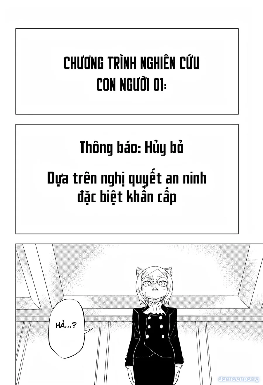 báo cáo mật 