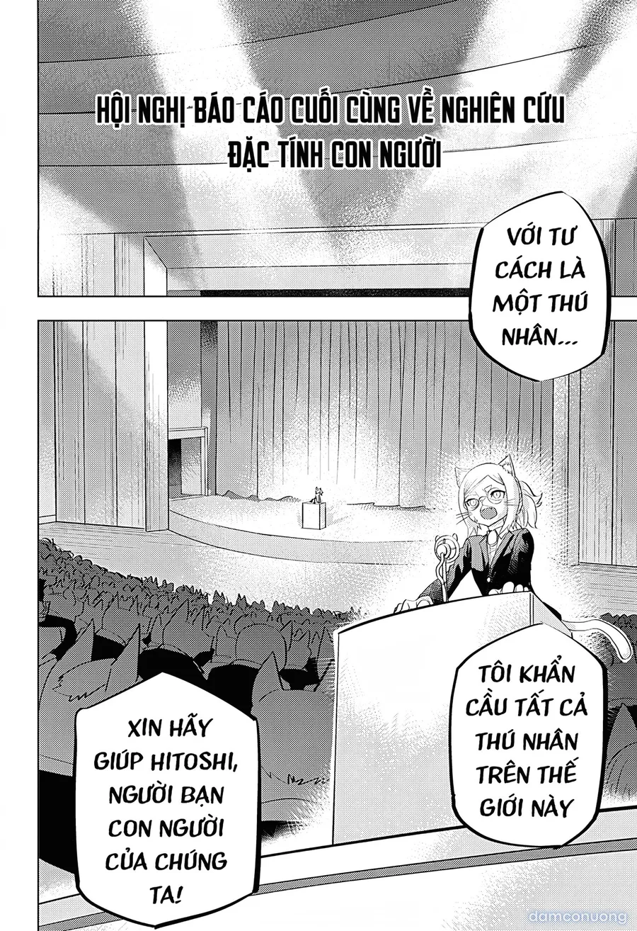 báo cáo mật 