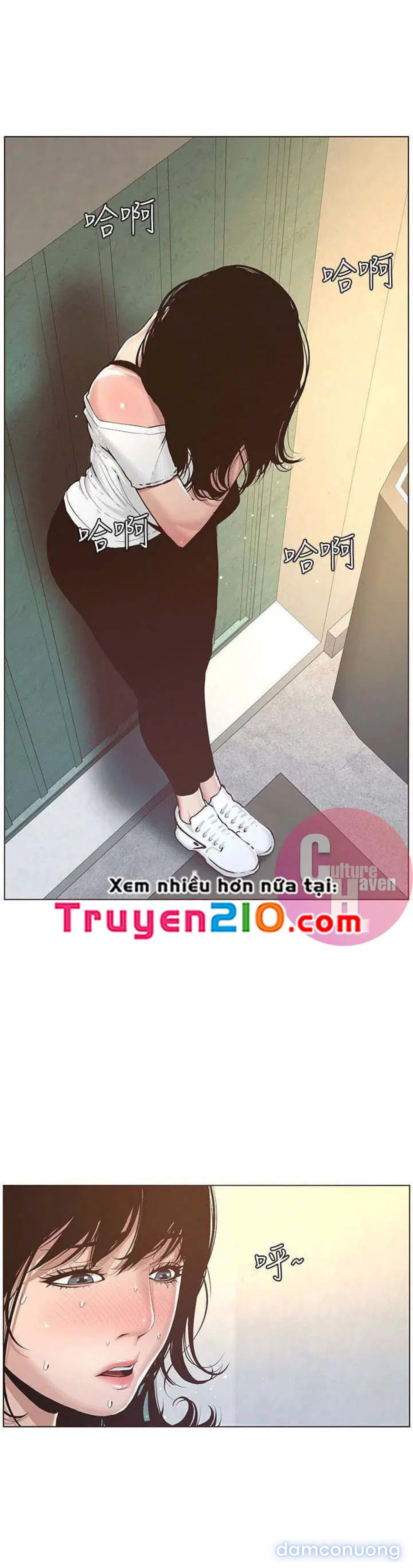 NGƯỜI BỐ DƯỢNG CỦA TÔI 