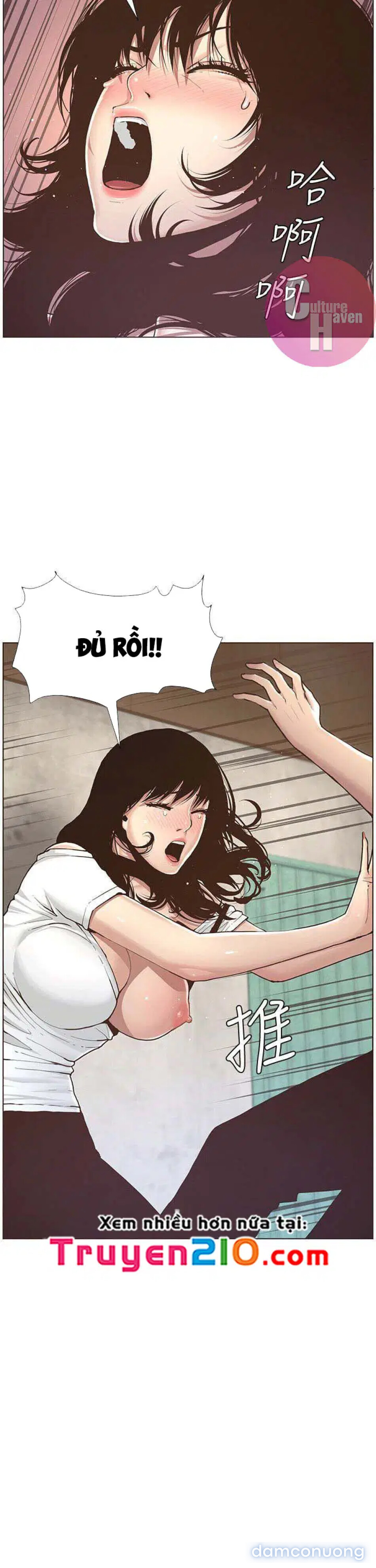 NGƯỜI BỐ DƯỢNG CỦA TÔI 