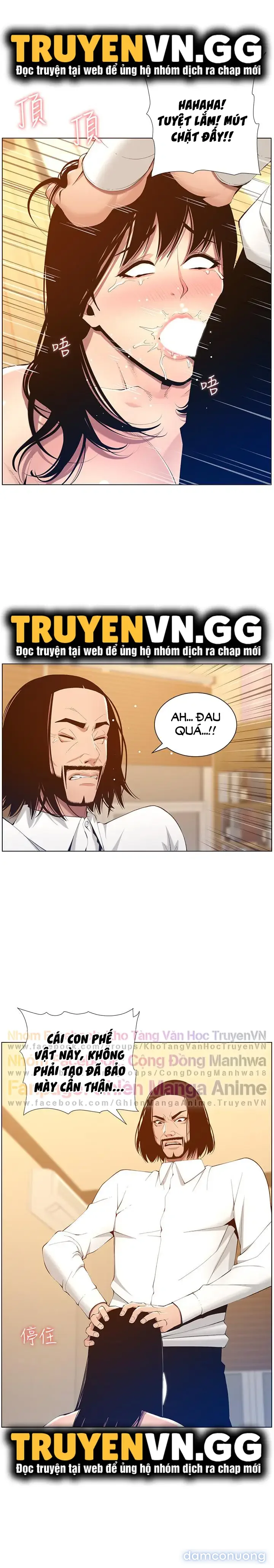 NGƯỜI BỐ DƯỢNG CỦA TÔI 