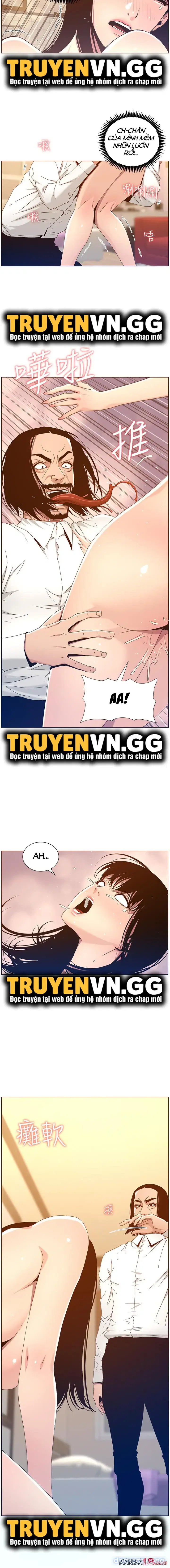 NGƯỜI BỐ DƯỢNG CỦA TÔI 