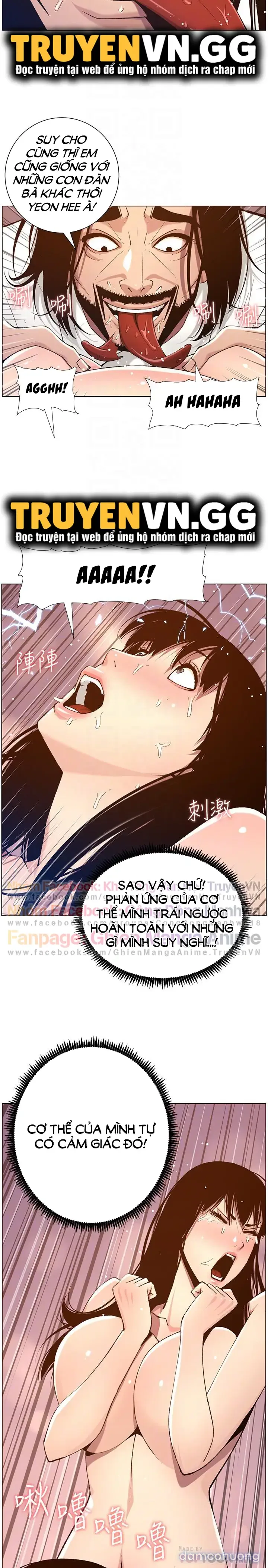 NGƯỜI BỐ DƯỢNG CỦA TÔI 