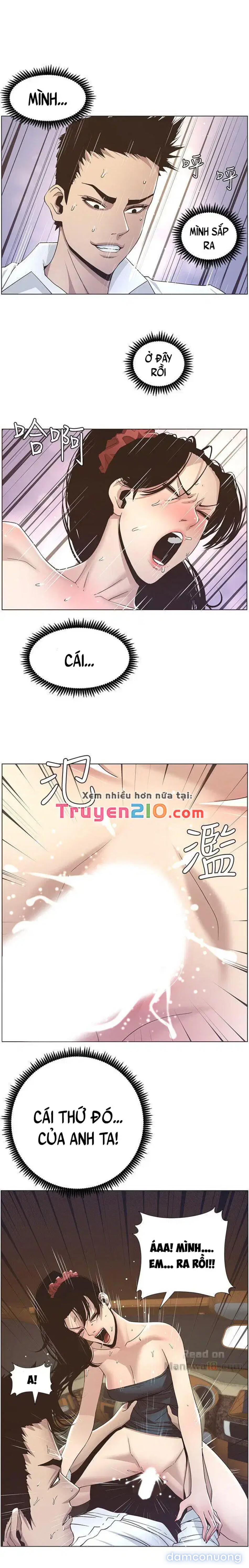 NGƯỜI BỐ DƯỢNG CỦA TÔI 