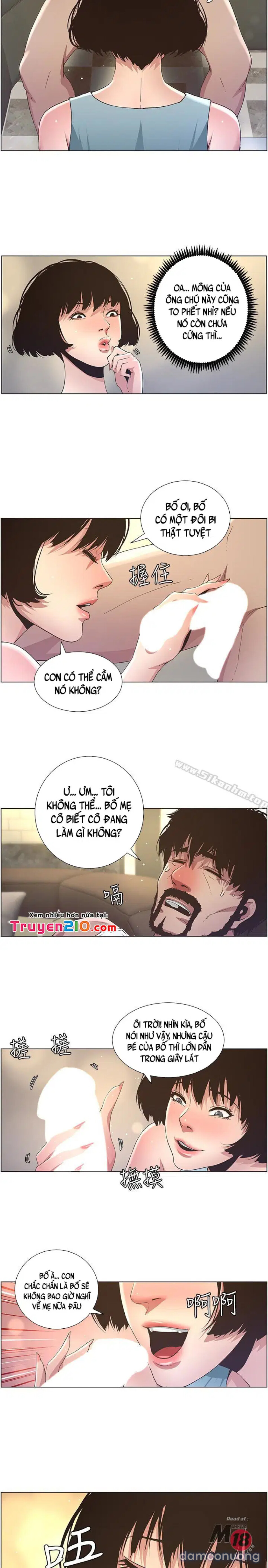 NGƯỜI BỐ DƯỢNG CỦA TÔI 