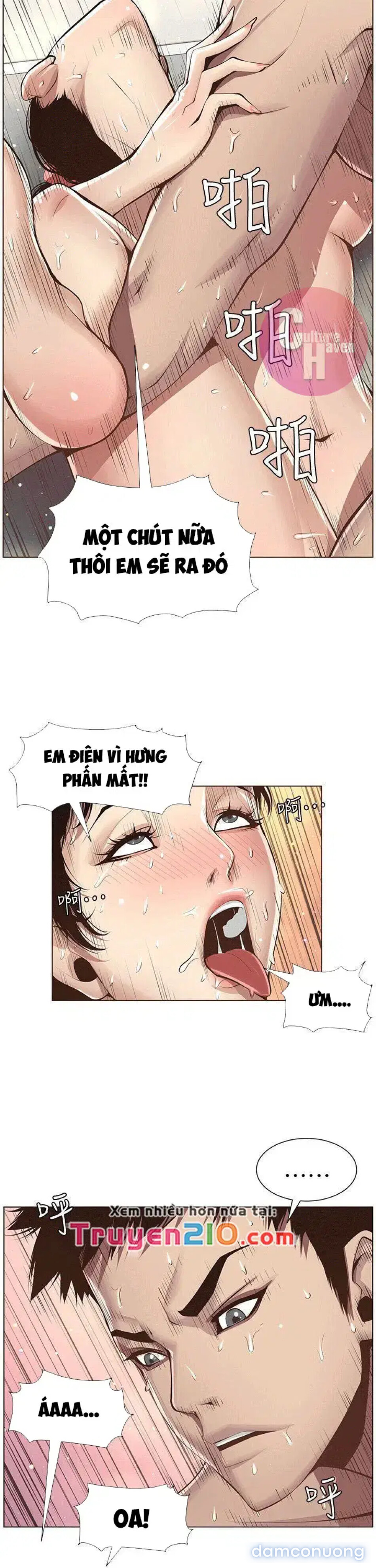 NGƯỜI BỐ DƯỢNG CỦA TÔI 