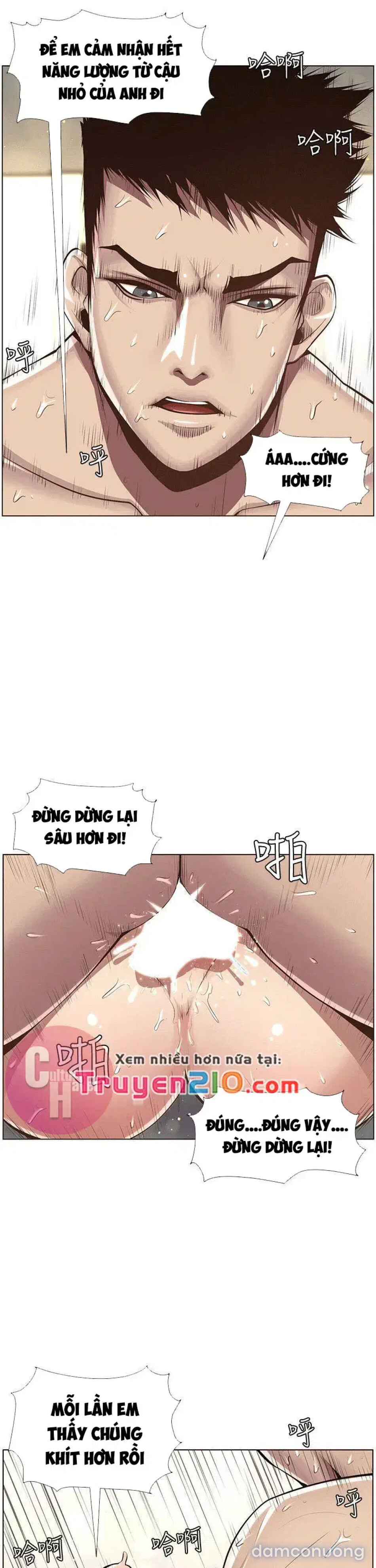 NGƯỜI BỐ DƯỢNG CỦA TÔI 