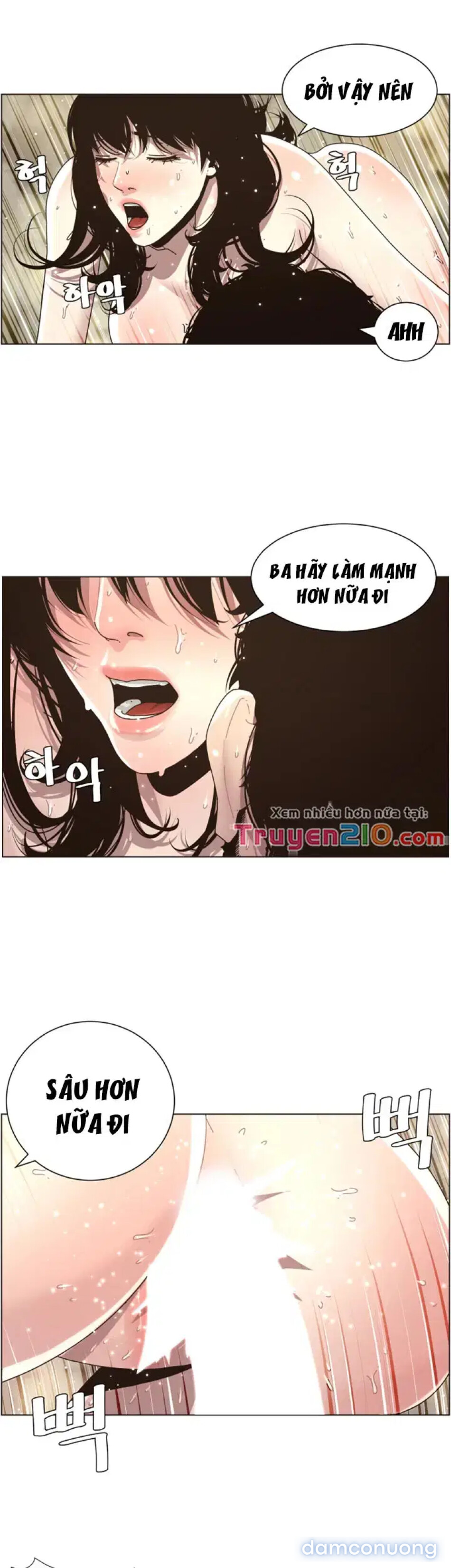 NGƯỜI BỐ DƯỢNG CỦA TÔI 