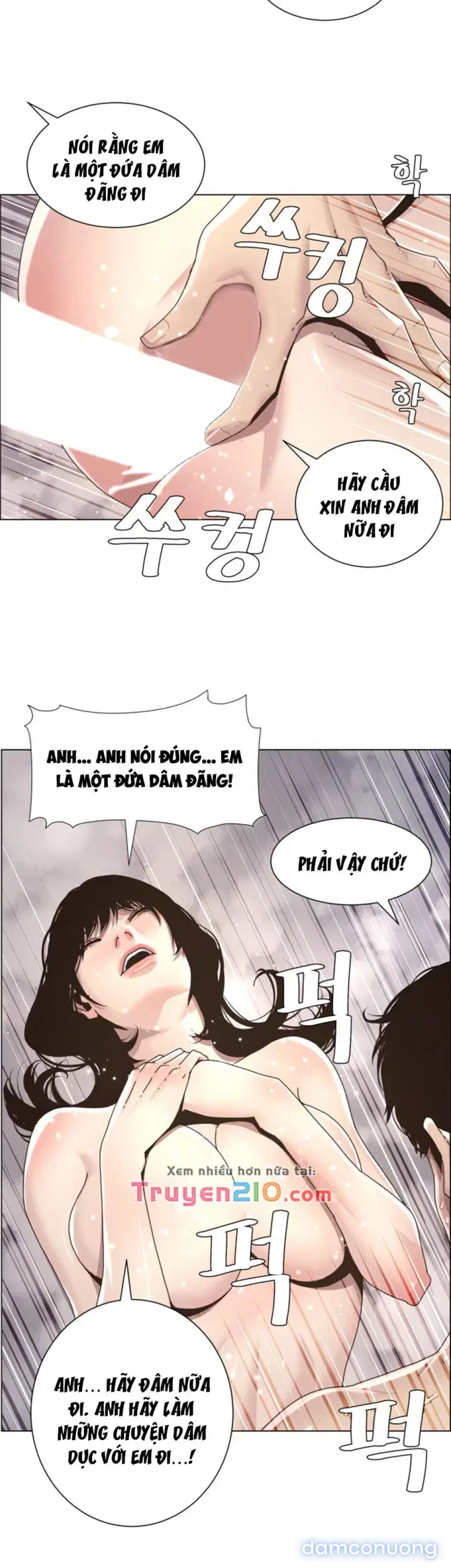 NGƯỜI BỐ DƯỢNG CỦA TÔI 
