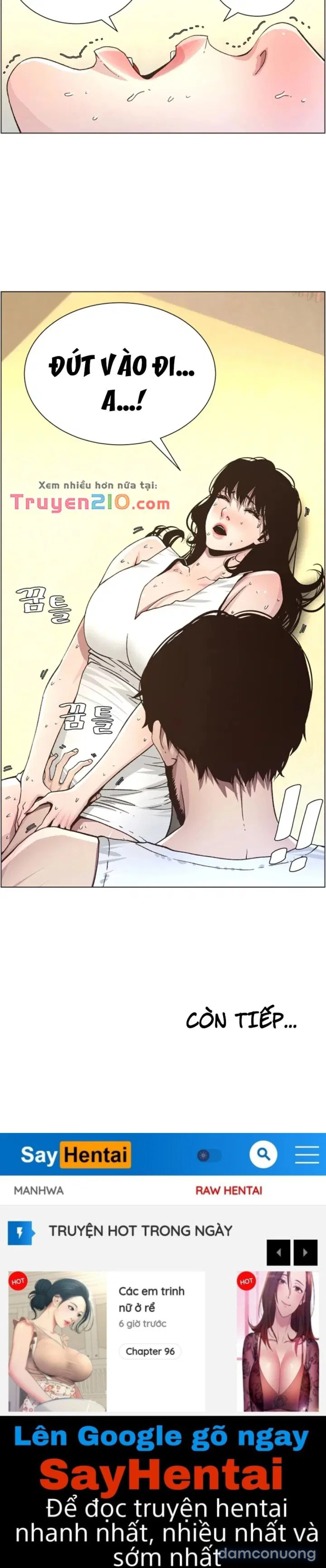 NGƯỜI BỐ DƯỢNG CỦA TÔI 