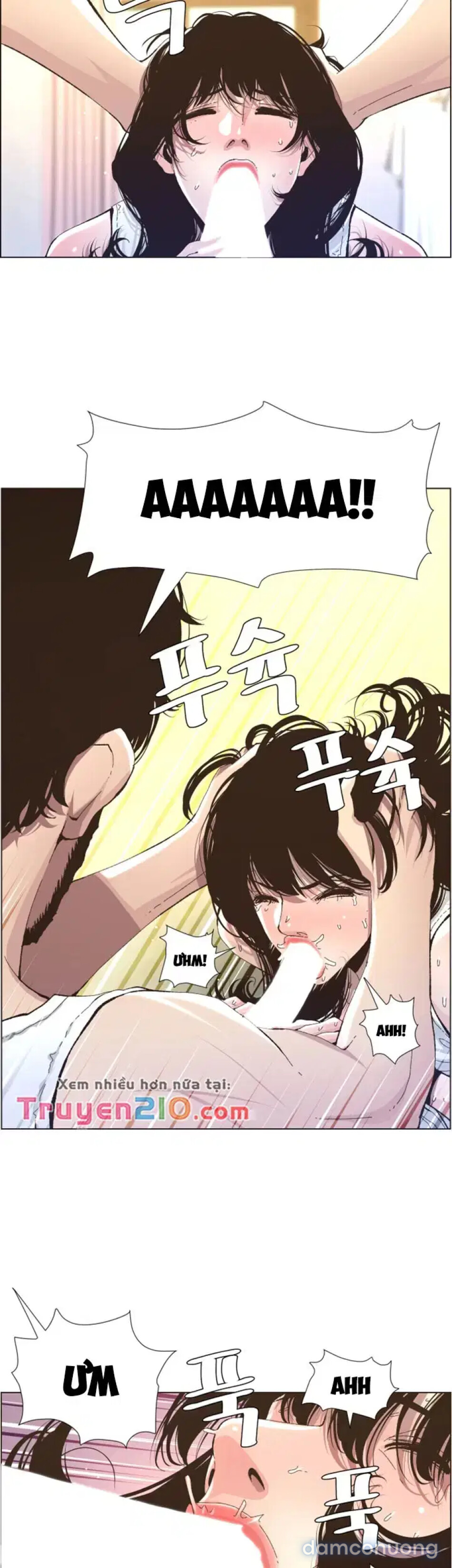 NGƯỜI BỐ DƯỢNG CỦA TÔI 