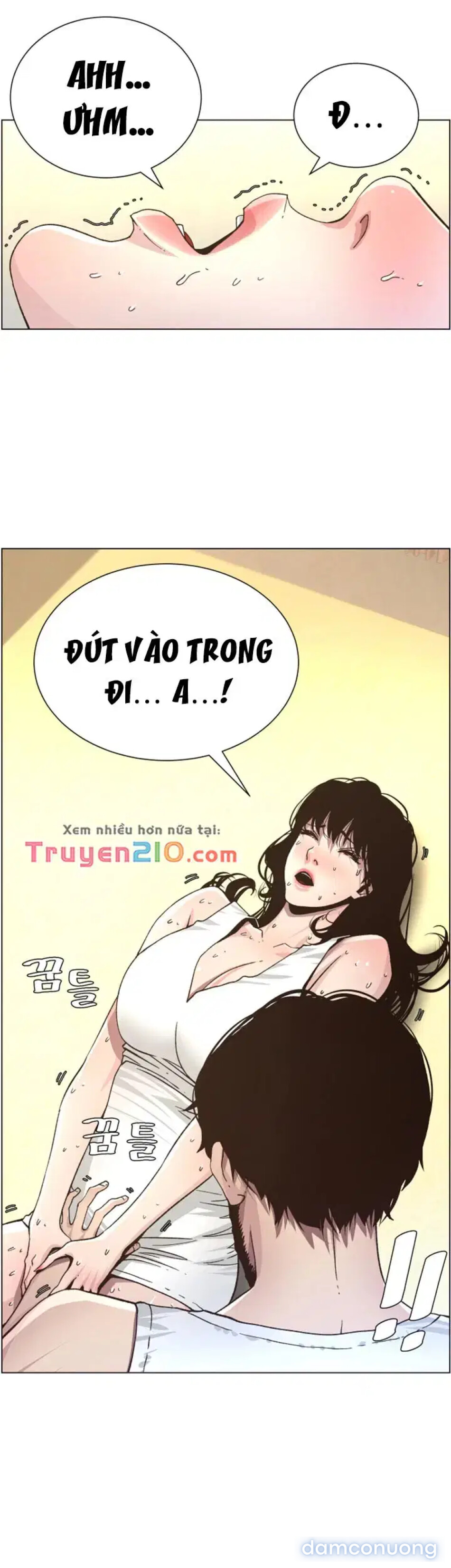 NGƯỜI BỐ DƯỢNG CỦA TÔI 
