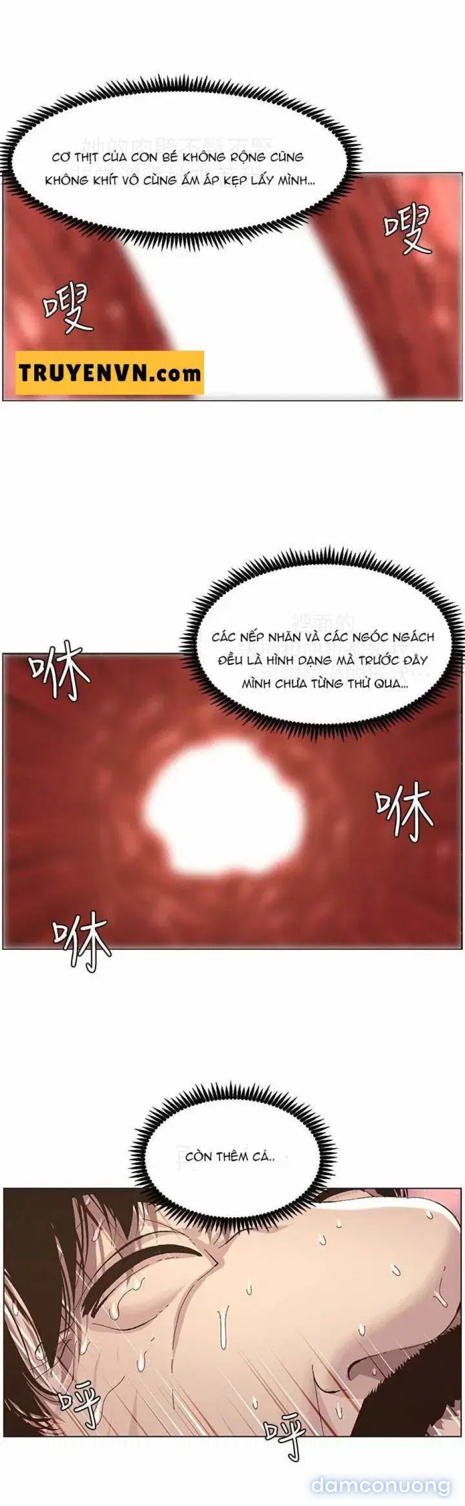 NGƯỜI BỐ DƯỢNG CỦA TÔI 