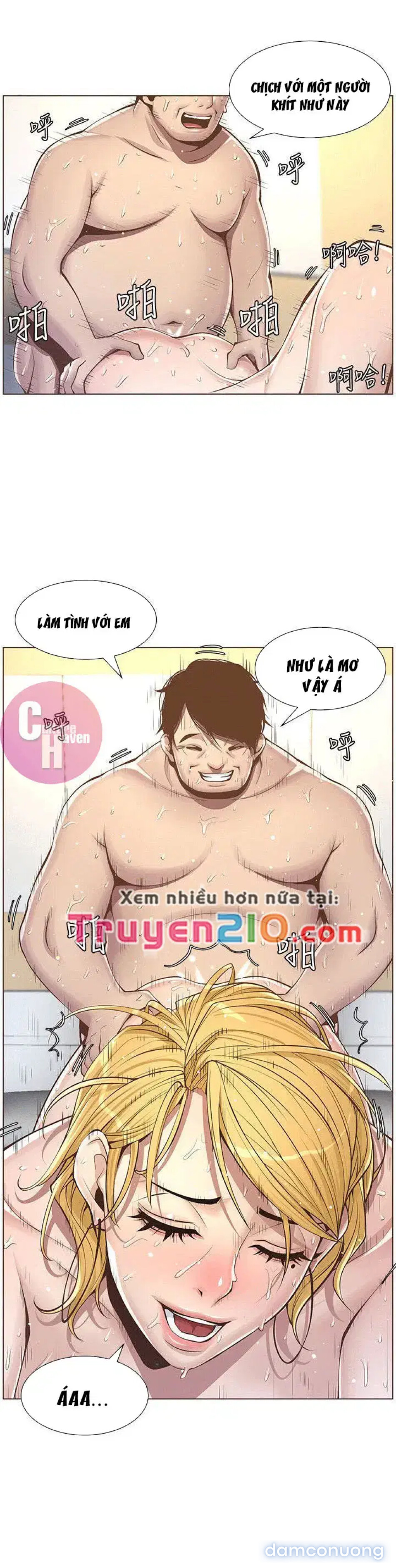 NGƯỜI BỐ DƯỢNG CỦA TÔI 