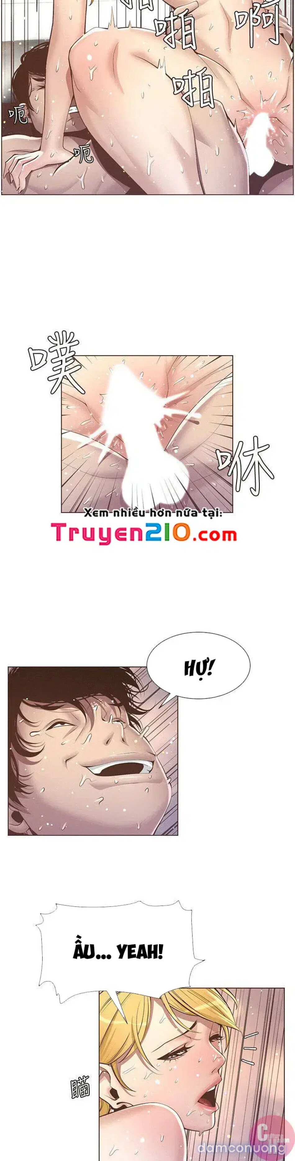 NGƯỜI BỐ DƯỢNG CỦA TÔI 