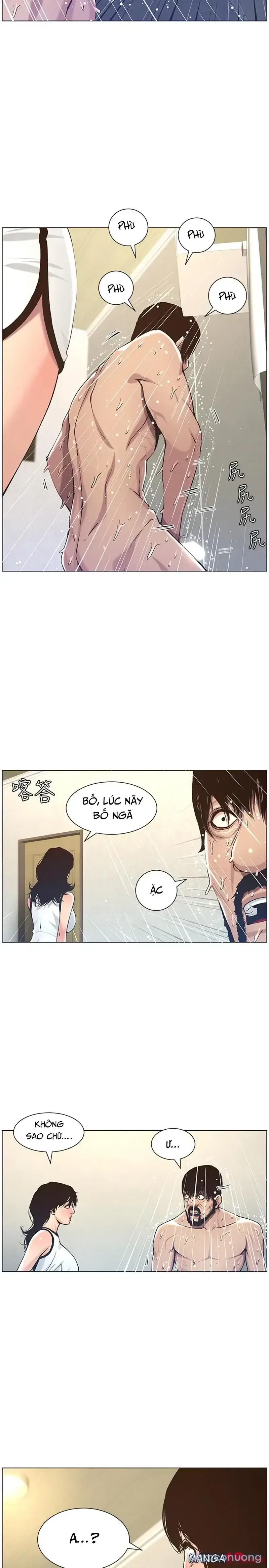 NGƯỜI BỐ DƯỢNG CỦA TÔI 