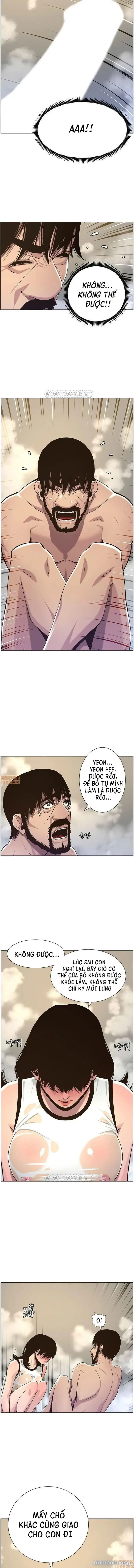NGƯỜI BỐ DƯỢNG CỦA TÔI 