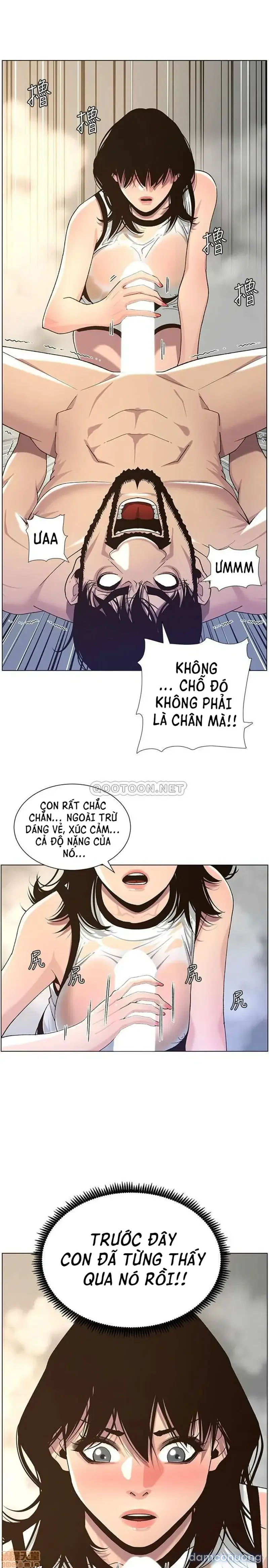 NGƯỜI BỐ DƯỢNG CỦA TÔI 