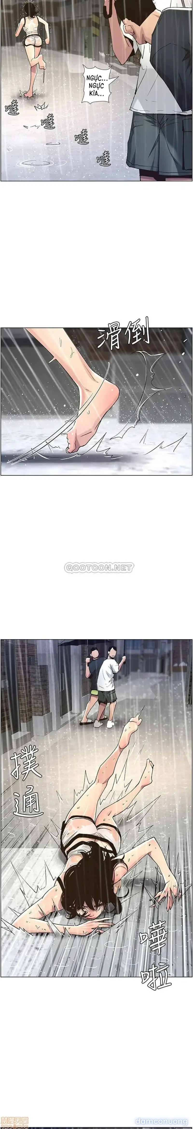 NGƯỜI BỐ DƯỢNG CỦA TÔI 