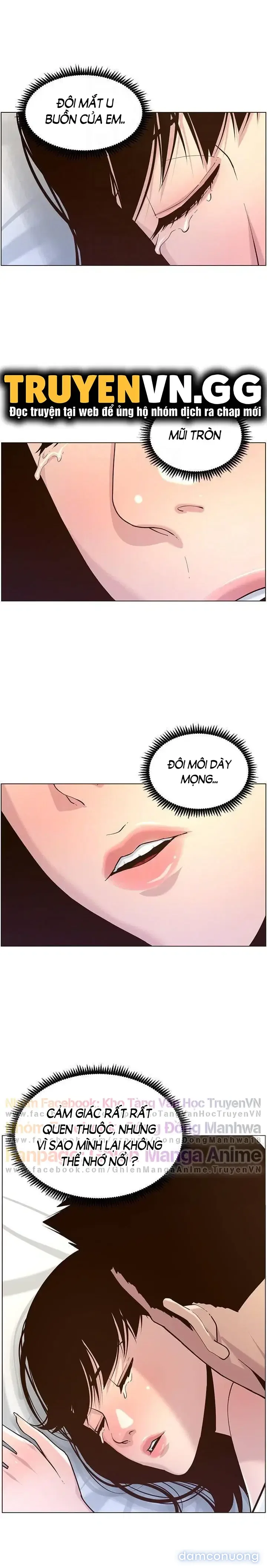 NGƯỜI BỐ DƯỢNG CỦA TÔI 