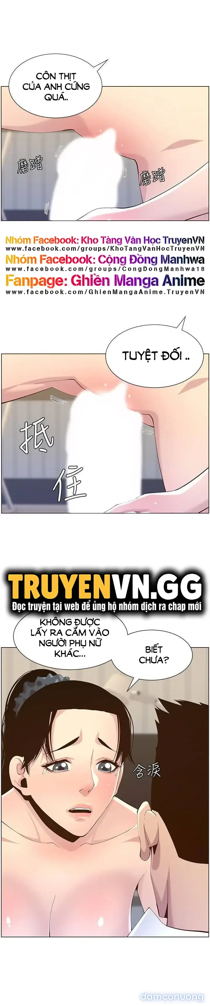 NGƯỜI BỐ DƯỢNG CỦA TÔI 