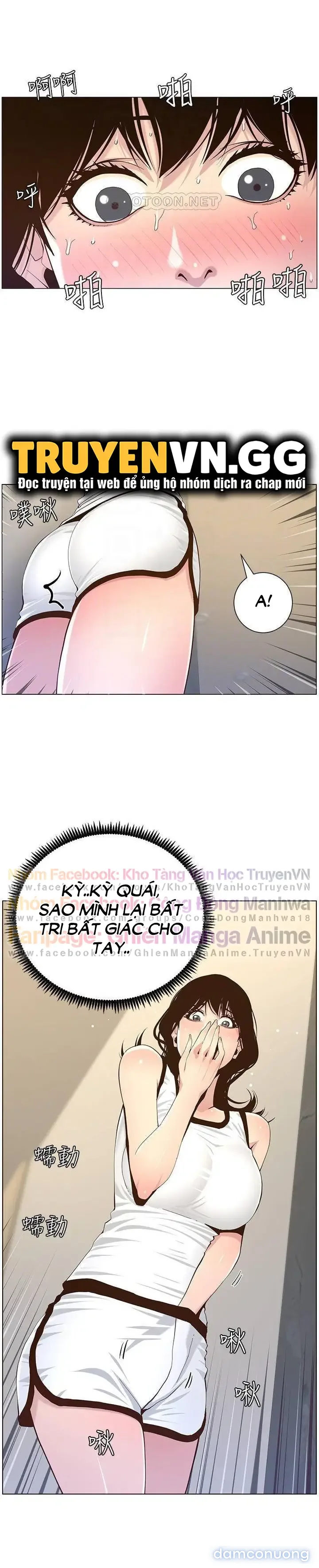NGƯỜI BỐ DƯỢNG CỦA TÔI 