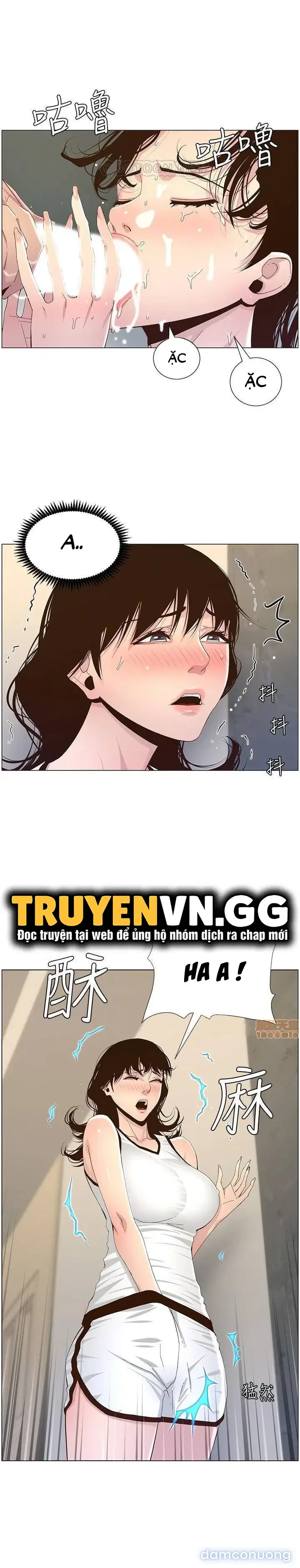 NGƯỜI BỐ DƯỢNG CỦA TÔI 