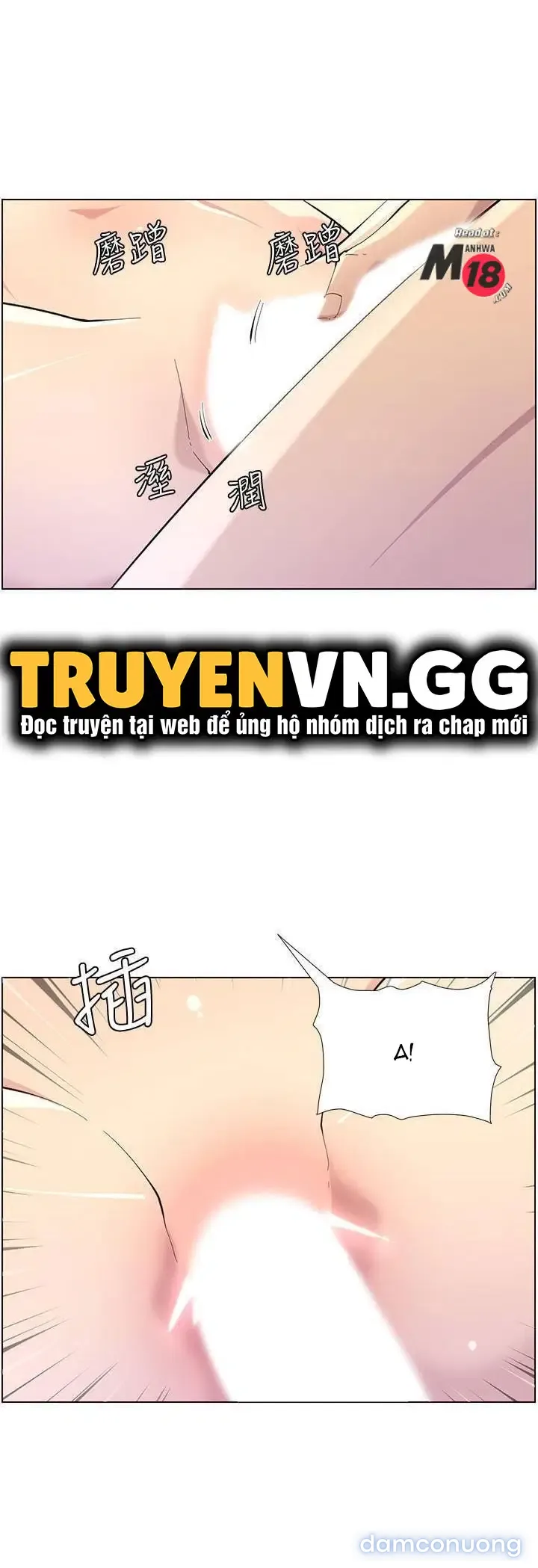 NGƯỜI BỐ DƯỢNG CỦA TÔI 