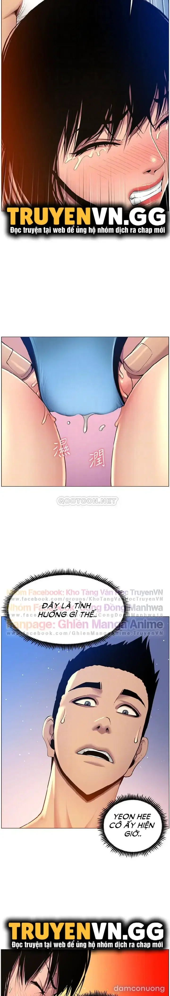 NGƯỜI BỐ DƯỢNG CỦA TÔI 