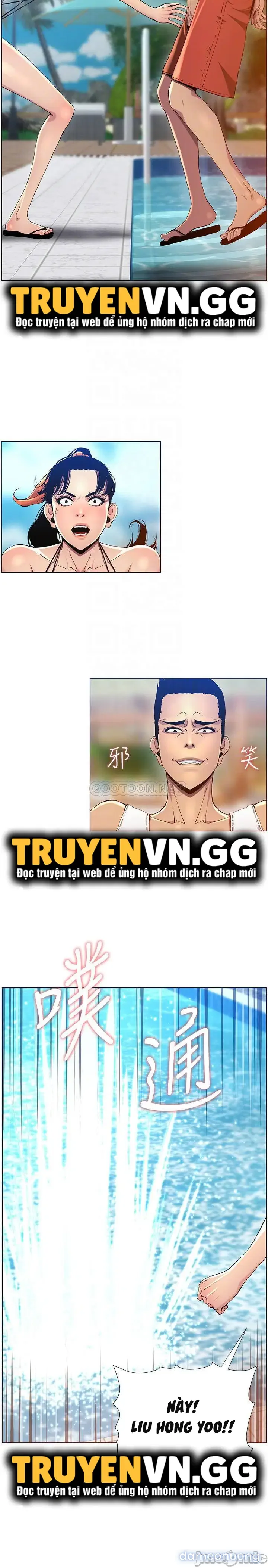 NGƯỜI BỐ DƯỢNG CỦA TÔI 
