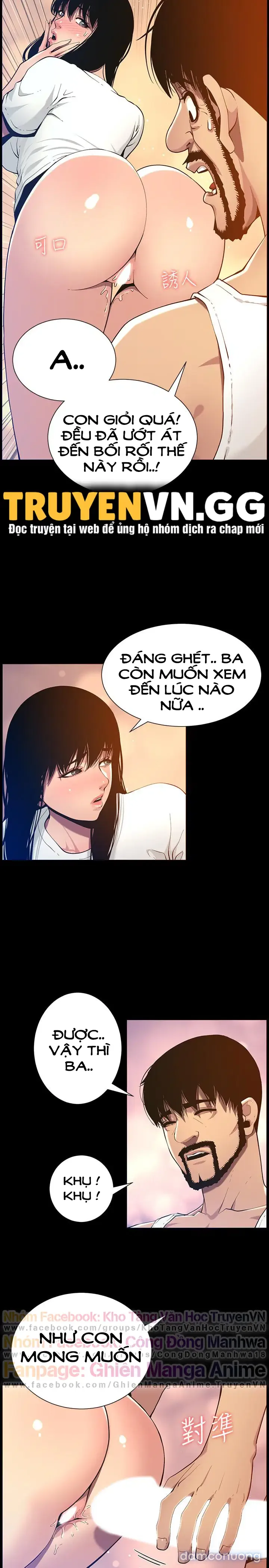 NGƯỜI BỐ DƯỢNG CỦA TÔI 