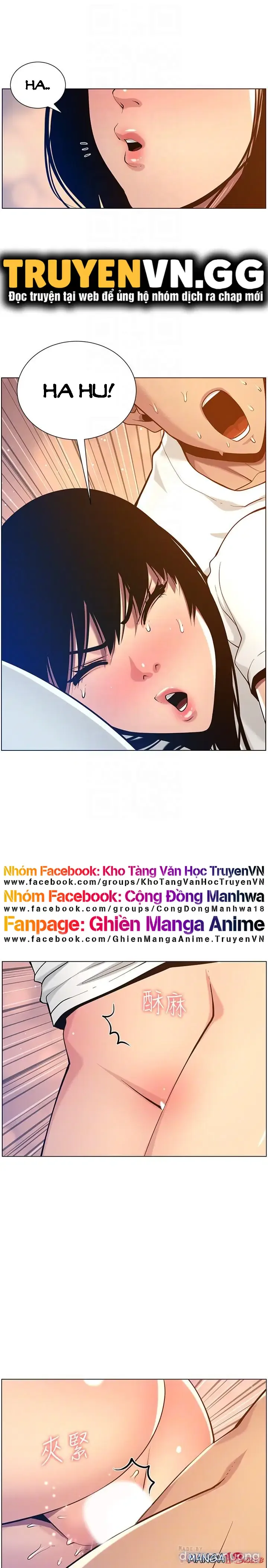 NGƯỜI BỐ DƯỢNG CỦA TÔI 
