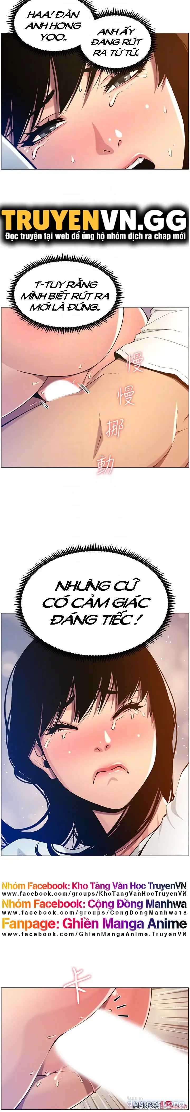 NGƯỜI BỐ DƯỢNG CỦA TÔI 