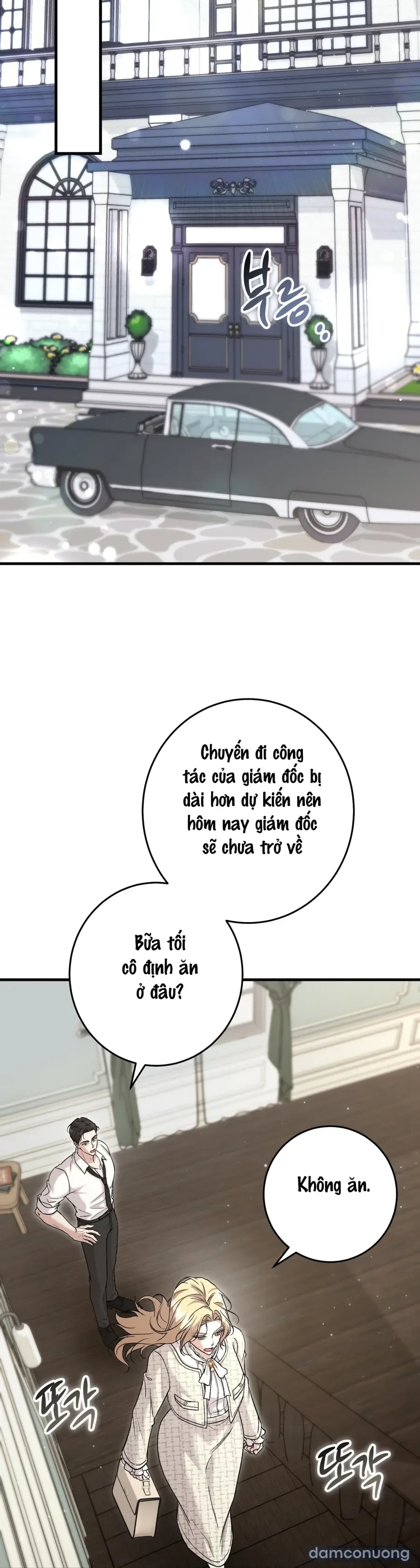 Cô Tiểu Thư Quá Đỗi Tò Mò 