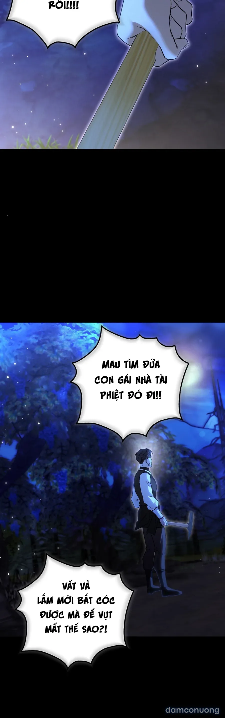Cô Tiểu Thư Quá Đỗi Tò Mò 