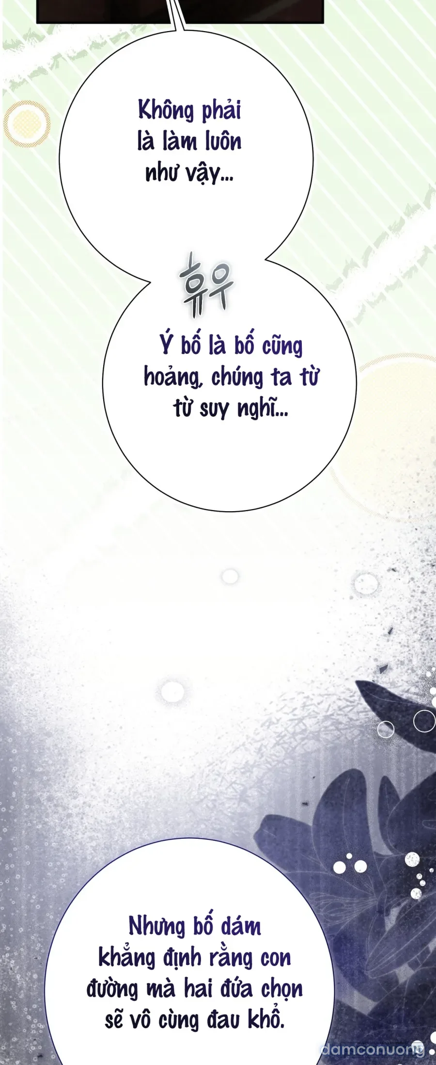 Cô Tiểu Thư Quá Đỗi Tò Mò 
