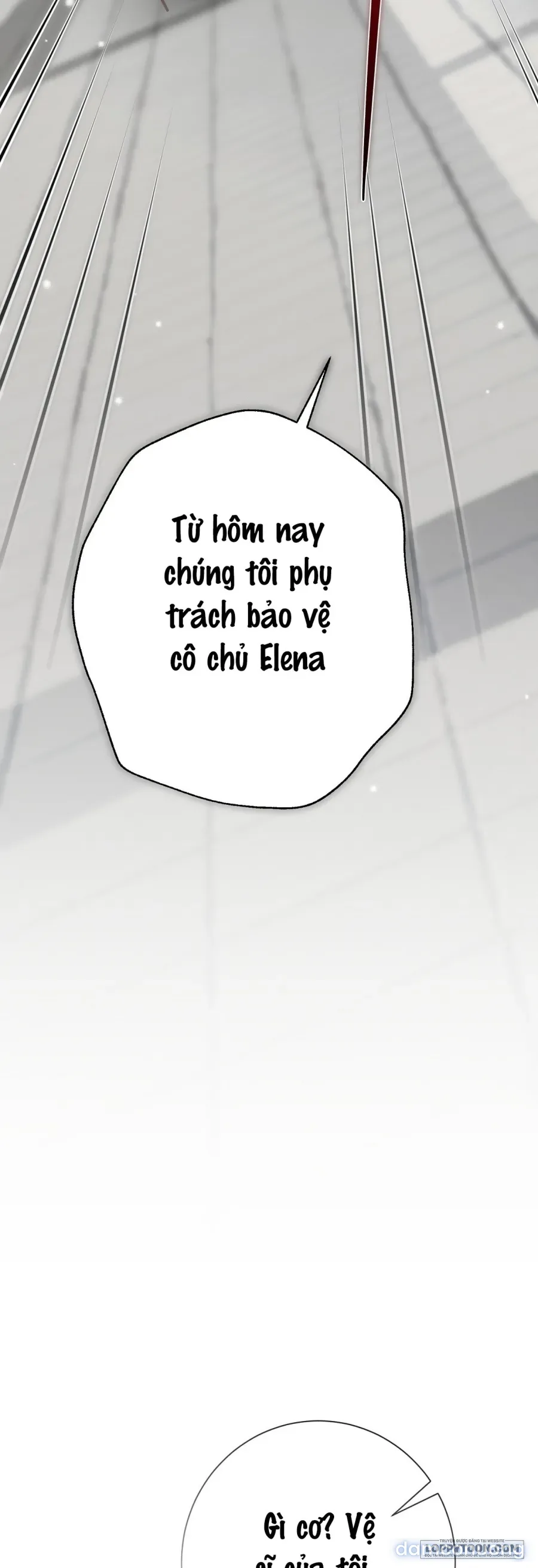 Cô Tiểu Thư Quá Đỗi Tò Mò 