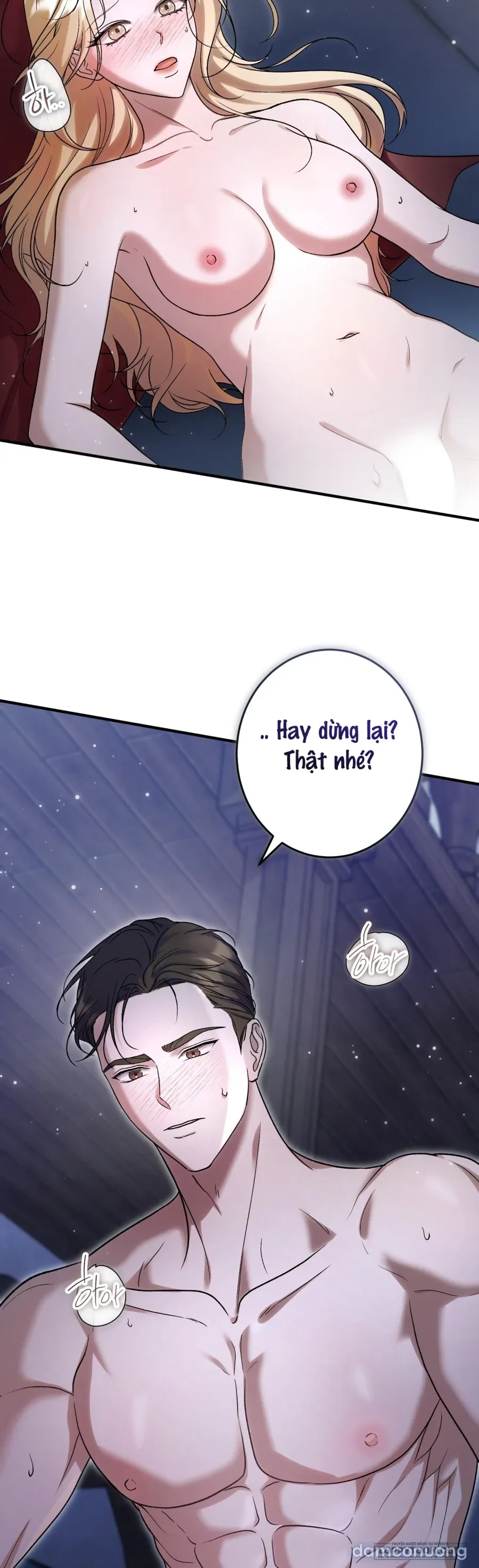 Cô Tiểu Thư Quá Đỗi Tò Mò 
