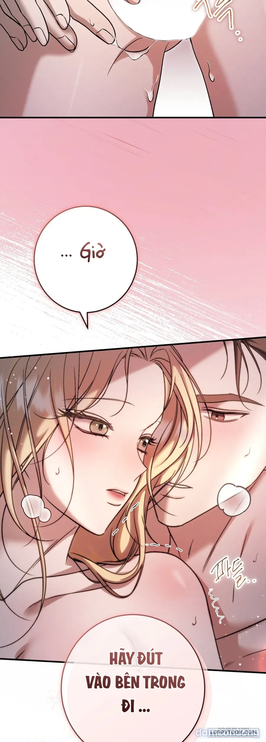 Cô Tiểu Thư Quá Đỗi Tò Mò 