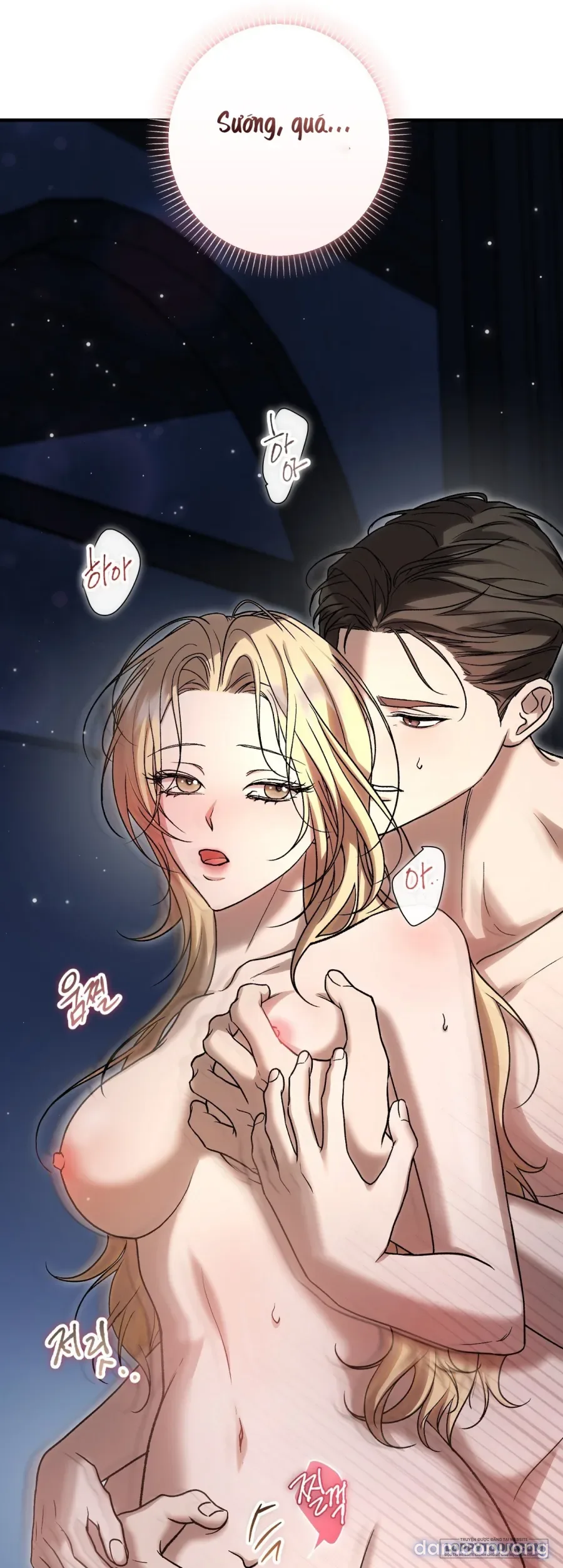 Cô Tiểu Thư Quá Đỗi Tò Mò 