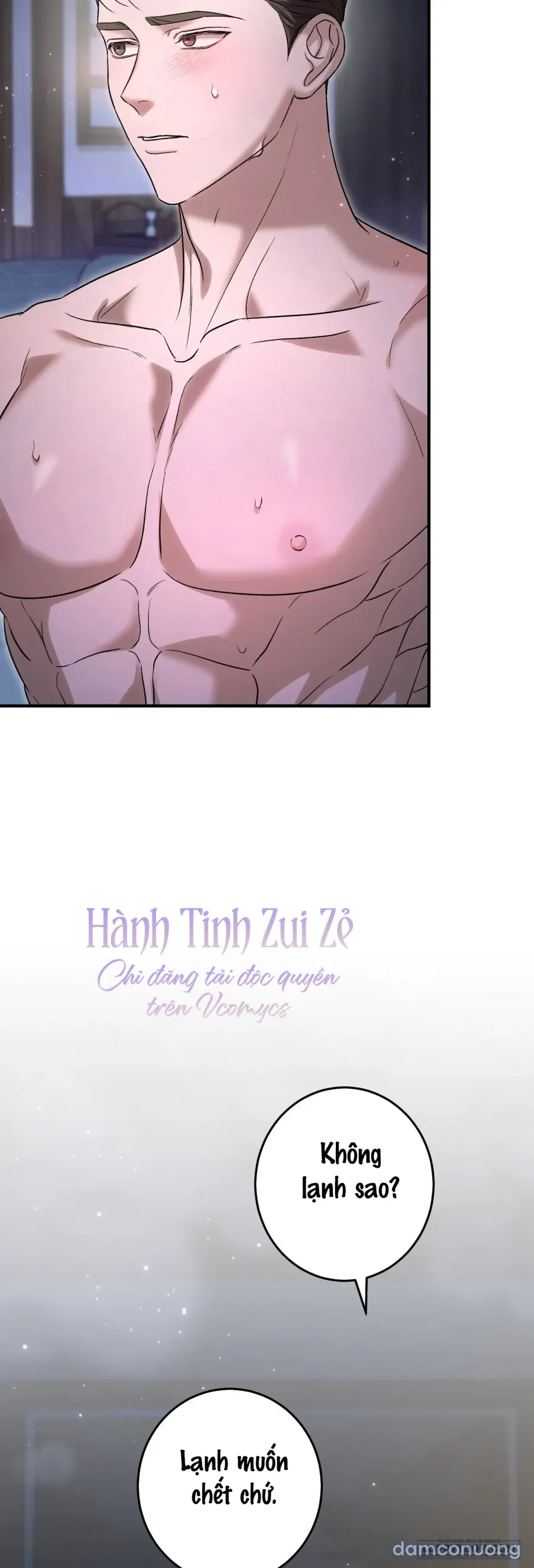Cô Tiểu Thư Quá Đỗi Tò Mò 