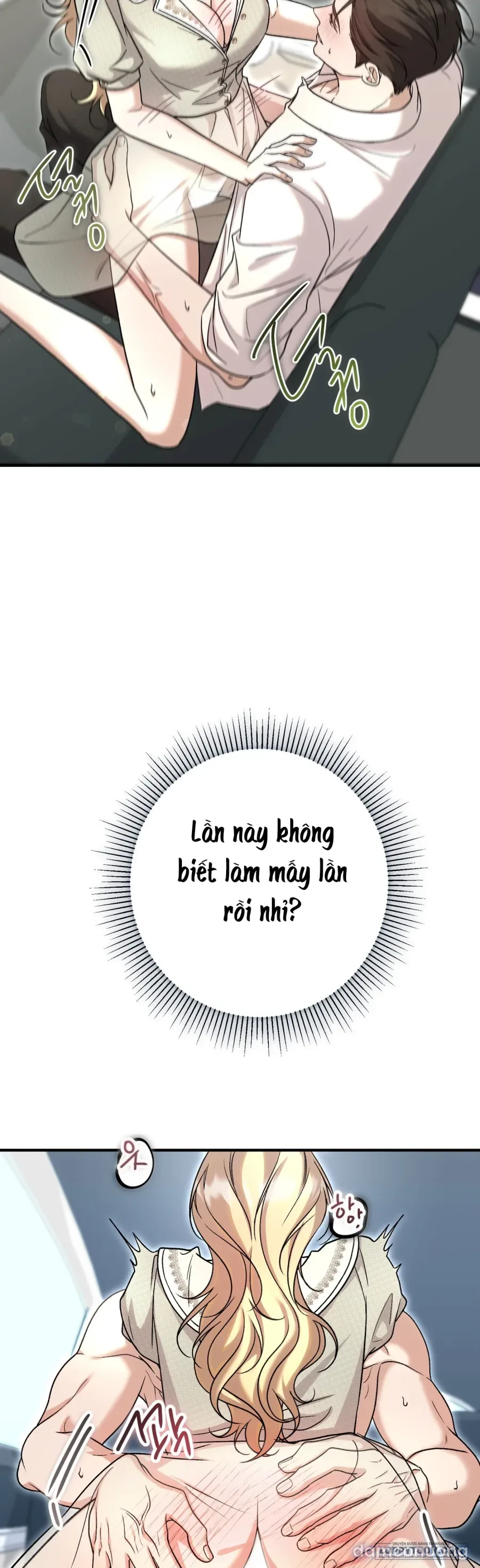 Cô Tiểu Thư Quá Đỗi Tò Mò 