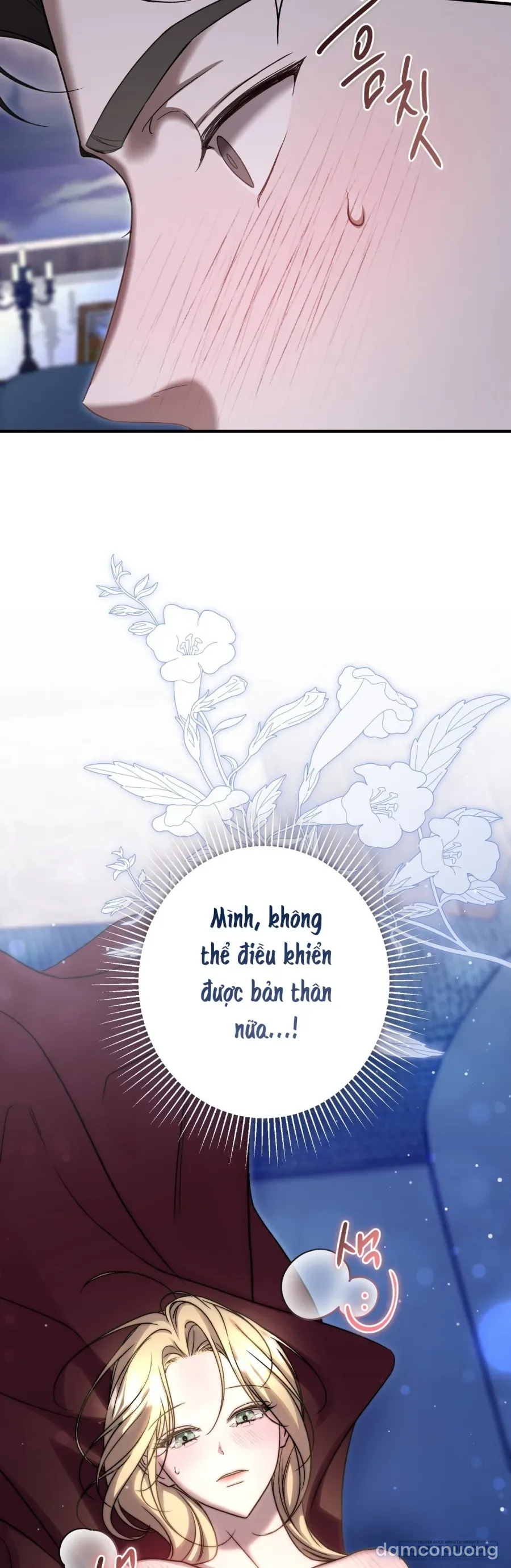 Cô Tiểu Thư Quá Đỗi Tò Mò 