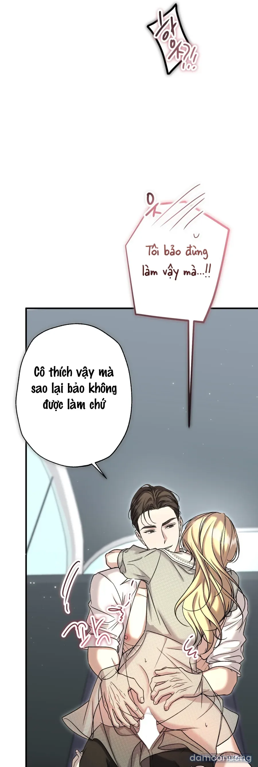 Cô Tiểu Thư Quá Đỗi Tò Mò 
