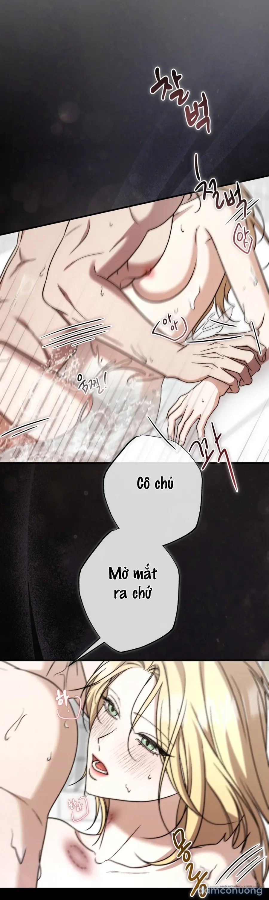 Cô Tiểu Thư Quá Đỗi Tò Mò 