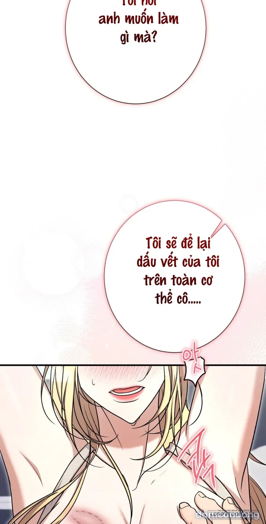 Cô Tiểu Thư Quá Đỗi Tò Mò 