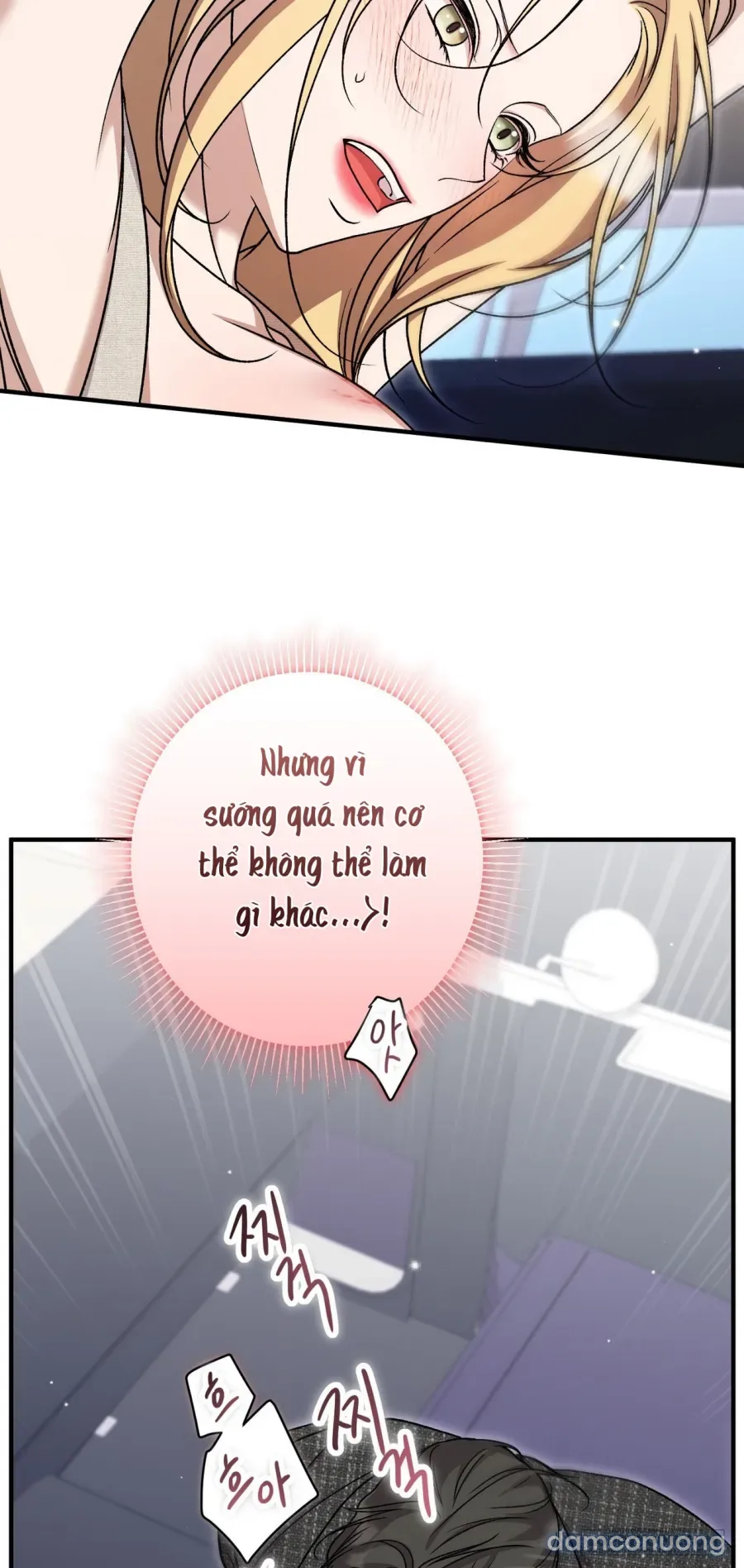 Cô Tiểu Thư Quá Đỗi Tò Mò 